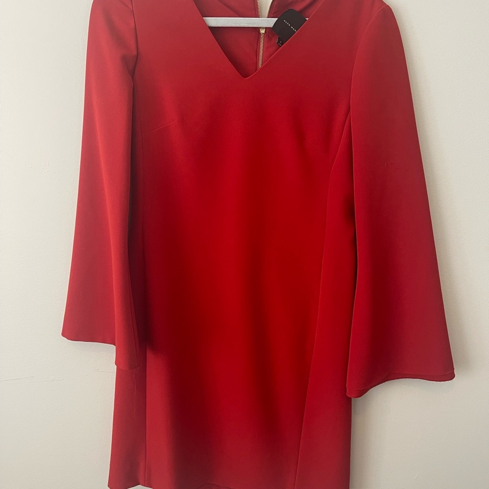 Alex Marie dress